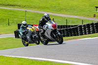 cadwell-no-limits-trackday;cadwell-park;cadwell-park-photographs;cadwell-trackday-photographs;enduro-digital-images;event-digital-images;eventdigitalimages;no-limits-trackdays;peter-wileman-photography;racing-digital-images;trackday-digital-images;trackday-photos